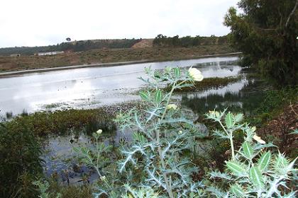 The Adi Nfas water reservoir.